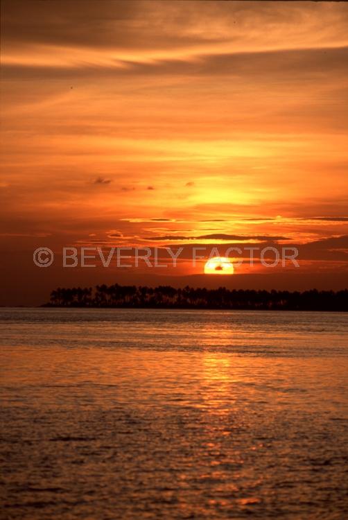 (Multiple values);sun;indonesia;reflections;palm trees
